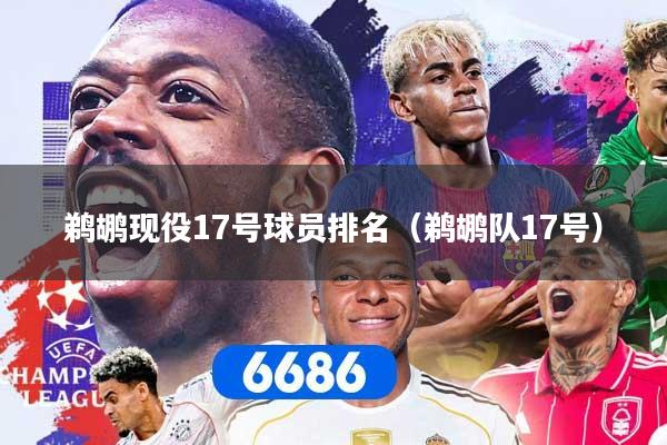 鹈鹕现役17号球员排名（鹈鹕队17号）