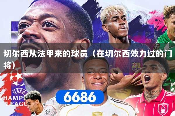 切尔西从法甲来的球员（在切尔西效力过的门将）