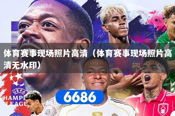 体育赛事现场照片高清（体育赛事现场照片高清无水印）